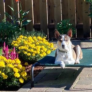 Meet your Posher, Lindsey